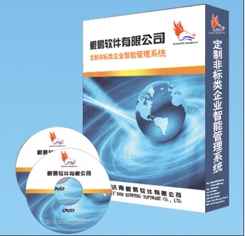 定制非標(biāo)類(lèi)智能ERP管理軟件系統(tǒng)(通用版）