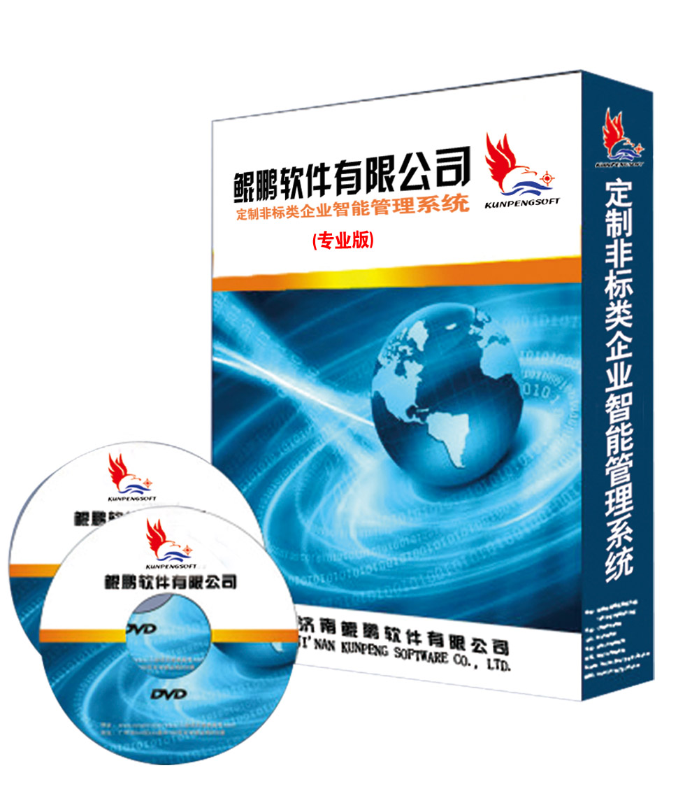 定制非標(biāo)智能ERP管理系統(tǒng)（專(zhuān)業(yè)版）